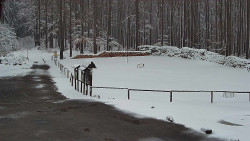 Nástup na běžecké tratě