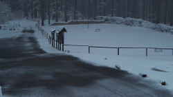 Nástup na běžecké tratě