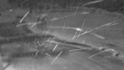 Nástup na běžecké tratě