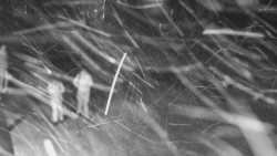 Nástup na běžecké tratě