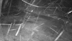 Nástup na běžecké tratě