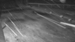 Nástup na běžecké tratě