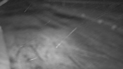 Nástup na běžecké tratě