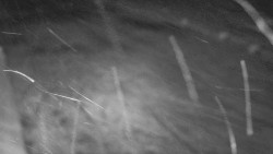 Nástup na běžecké tratě