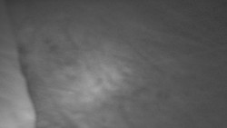 Nástup na běžecké tratě