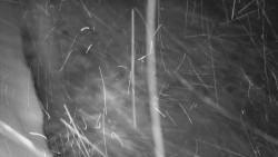 Nástup na běžecké tratě