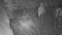 Nástup na běžecké tratě