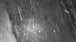 Nástup na běžecké tratě