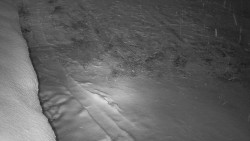 Nástup na běžecké tratě