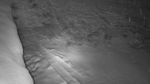 SkiAreál - Horský hotel Vsacký Cáb - Nástup na běžecké tratě - 28.3.2026 v 00:00 SkiAreál - Horský hotel Vsacký Cáb - Nástup na běžecké tratě - 28.3.2026 v 00:00