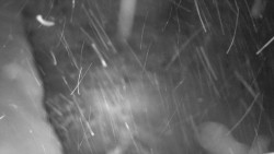 Nástup na běžecké tratě