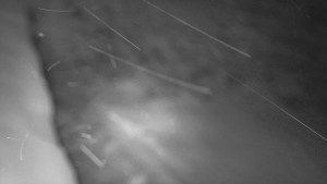 SkiAreál - Horský hotel Vsacký Cáb - Nástup na běžecké tratě - 28.3.2026 v 01:30 SkiAreál - Horský hotel Vsacký Cáb - Nástup na běžecké tratě - 28.3.2026 v 01:30