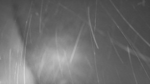 SkiAreál - Horský hotel Vsacký Cáb - Nástup na běžecké tratě - 28.3.2026 v 02:00 SkiAreál - Horský hotel Vsacký Cáb - Nástup na běžecké tratě - 28.3.2026 v 02:00