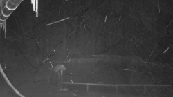 Nástup na běžecké tratě