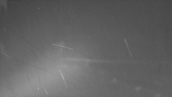 Nástup na běžecké tratě