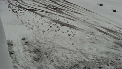 Nástup na běžecké tratě