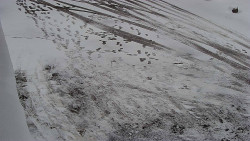 Nástup na běžecké tratě