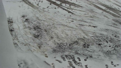 Nástup na běžecké tratě