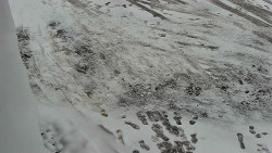 Nástup na běžecké tratě