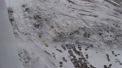 Nástup na běžecké tratě