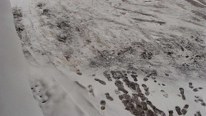 SkiAreál - Horský hotel Vsacký Cáb - Nástup na běžecké tratě - 28.3.2026 v 08:15 SkiAreál - Horský hotel Vsacký Cáb - Nástup na běžecké tratě - 28.3.2026 v 08:15