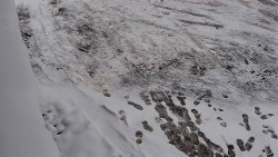 Nástup na běžecké tratě