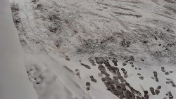 Nástup na běžecké tratě