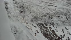 Nástup na běžecké tratě