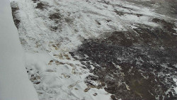 Nástup na běžecké tratě