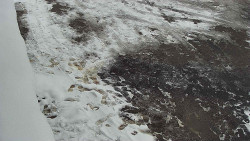 Nástup na běžecké tratě