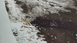 Nástup na běžecké tratě