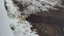 Nástup na běžecké tratě