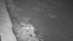 Nástup na běžecké tratě