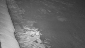 SkiAreál - Horský hotel Vsacký Cáb - Nástup na běžecké tratě - 28.3.2026 v 19:31 SkiAreál - Horský hotel Vsacký Cáb - Nástup na běžecké tratě - 28.3.2026 v 19:31