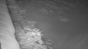 SkiAreál - Horský hotel Vsacký Cáb - Nástup na běžecké tratě - 28.3.2026 v 19:46 SkiAreál - Horský hotel Vsacký Cáb - Nástup na běžecké tratě - 28.3.2026 v 19:46