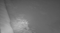 Nástup na běžecké tratě