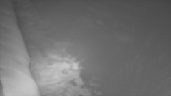 Nástup na běžecké tratě