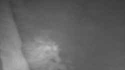 Nástup na běžecké tratě