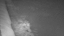 Nástup na běžecké tratě