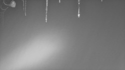 Nástup na běžecké tratě