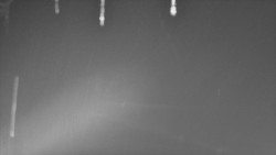 Nástup na běžecké tratě