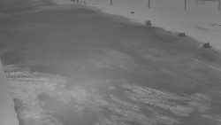 Nástup na běžecké tratě