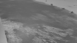 Nástup na běžecké tratě