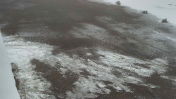 Nástup na běžecké tratě