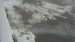 Nástup na běžecké tratě