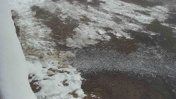 Nástup na běžecké tratě