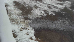 Nástup na běžecké tratě