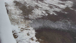 Nástup na běžecké tratě