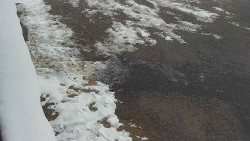 Nástup na běžecké tratě