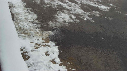 Nástup na běžecké tratě